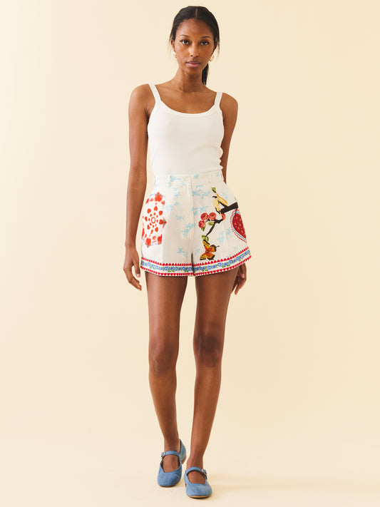 Scottie Shorts