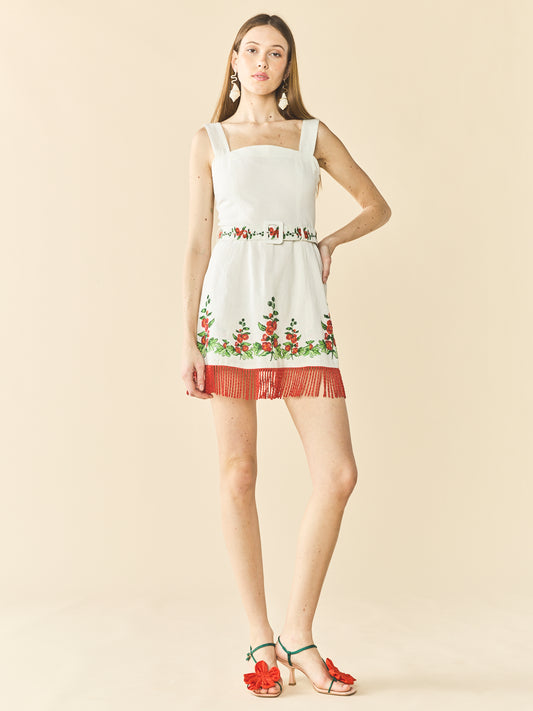 Sarah Bird Mini Dress x Larsen McDowell