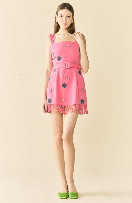 Sarah Bird Mini Dress